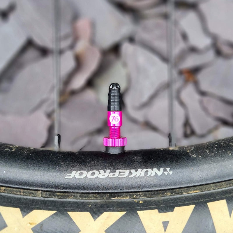 Tubeless presta online valve